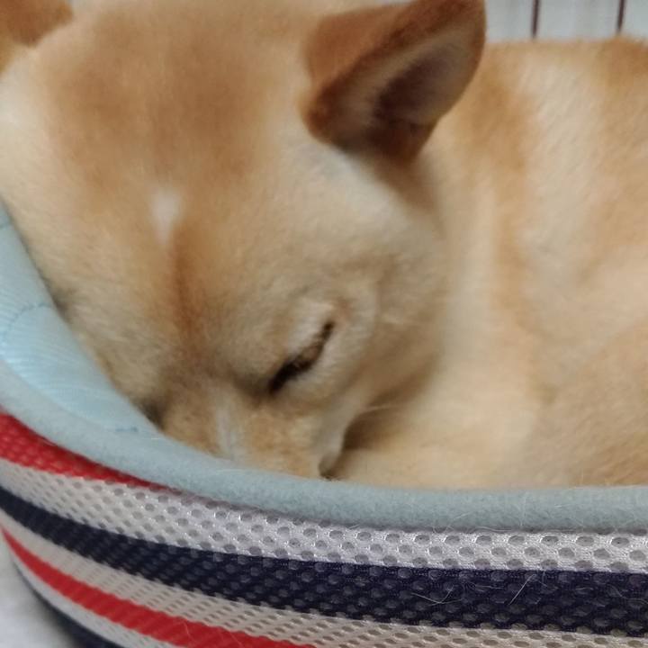 1f3624f4 dede 46c4 ab96 1804d34f3d1e 1532351567524