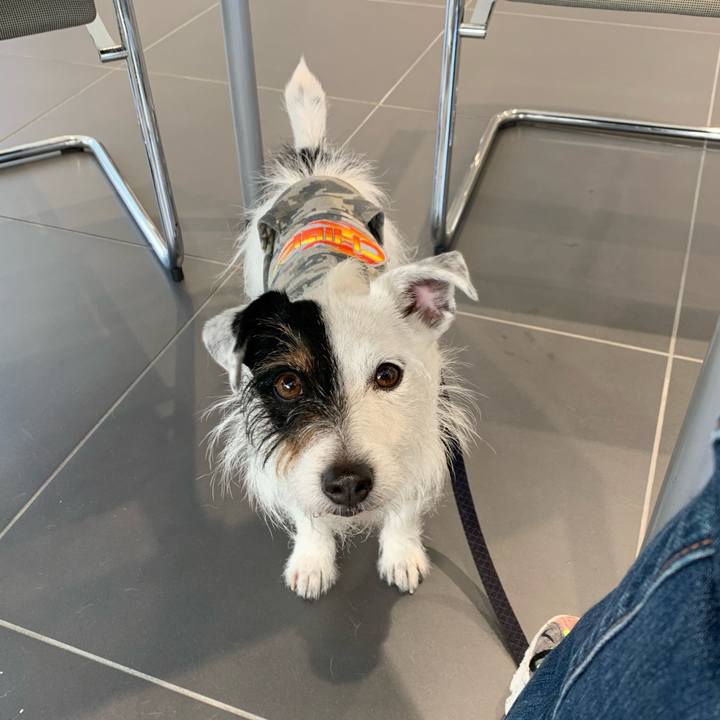 1f3632a2 7de0 49b7 84d9 6d28803db9a7 1649570064820