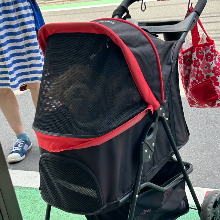 1f36563f d42d 45c4 9759 4d1992a93d7f 1746424239099