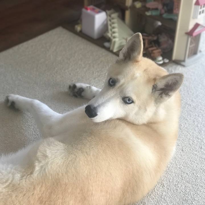 1f366736 6be0 41b3 93d8 44ad74f3e91b 1683845924125