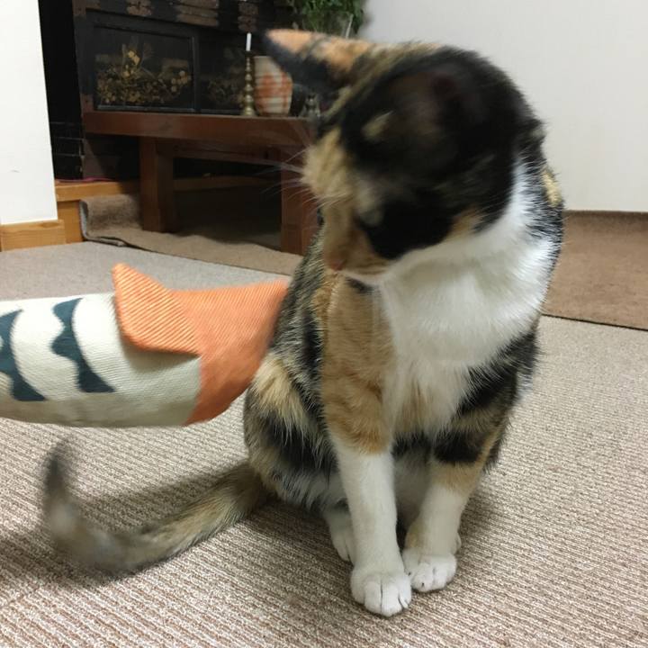 1f367e3a 12cc 4920 b252 abb9a68f3e40 1523099581768