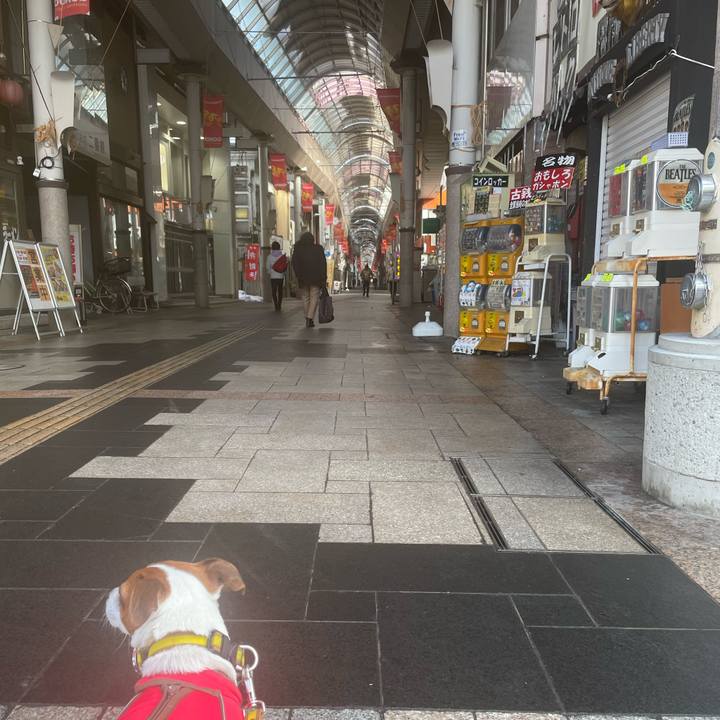 1f36a0bd d4fa 461f b525 91076d2f3182 1643008864747