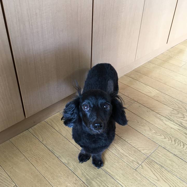 1f36a172 7072 4de1 b8df 980c987ba40b 1507759954028