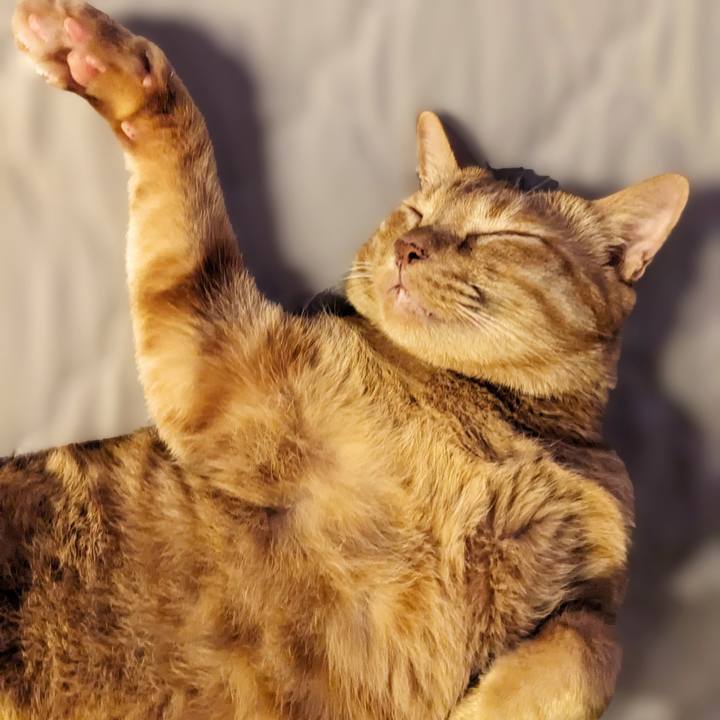 1f36c3fc 778a 4a94 b4f4 d47012090e3e 1760278103852