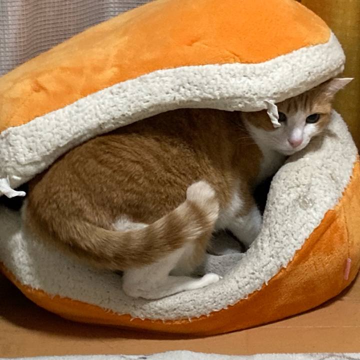 1f36c691 7fba 48fe 8e78 21b9a5d64244 1771160732992