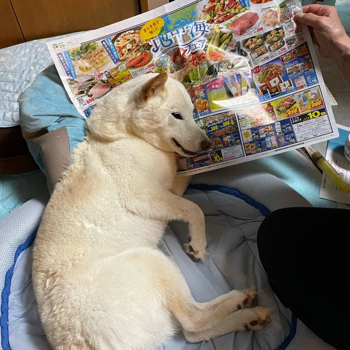 1f36e310 08d4 4727 816b 4ec82f6a9931 1654780265874