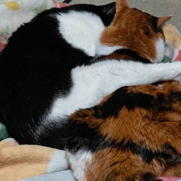 1f36f344 d81e 4d6f a19f 48ab3a85f7a6 1622719017814