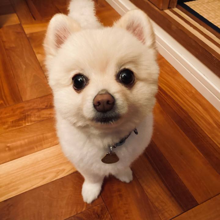 1f376117 5d03 40a6 8963 94ee581b0eca 1616933055472