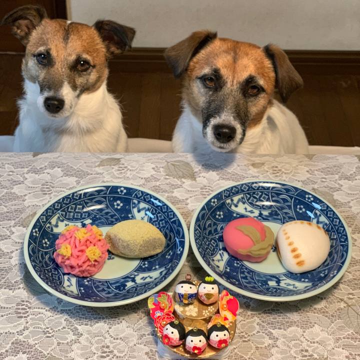 1f378bbf 9350 42a3 be73 8490bd821104 1614774685964