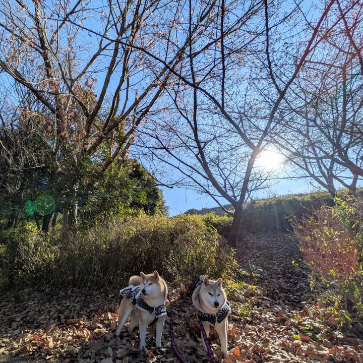 1f37a129 702f 4b8c 8b0f 316cc0b75299 1770175517124