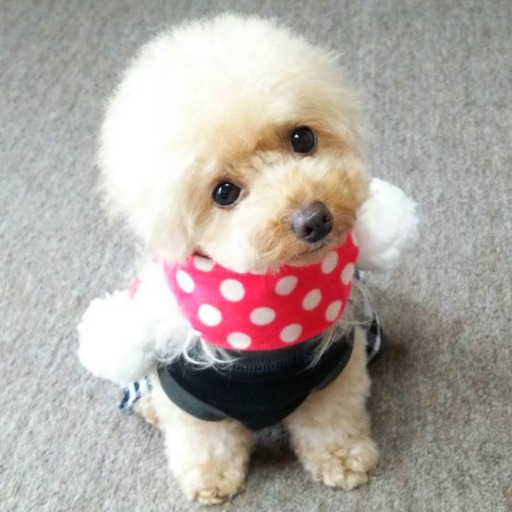 1f37aece 7392 40b1 8971 aeed22dab861 1536836773703