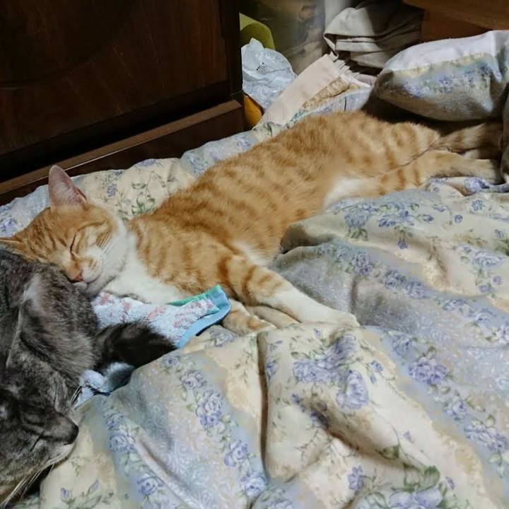 1f37ee8d c301 4218 83e7 f1b578edaf3d 1590411896207