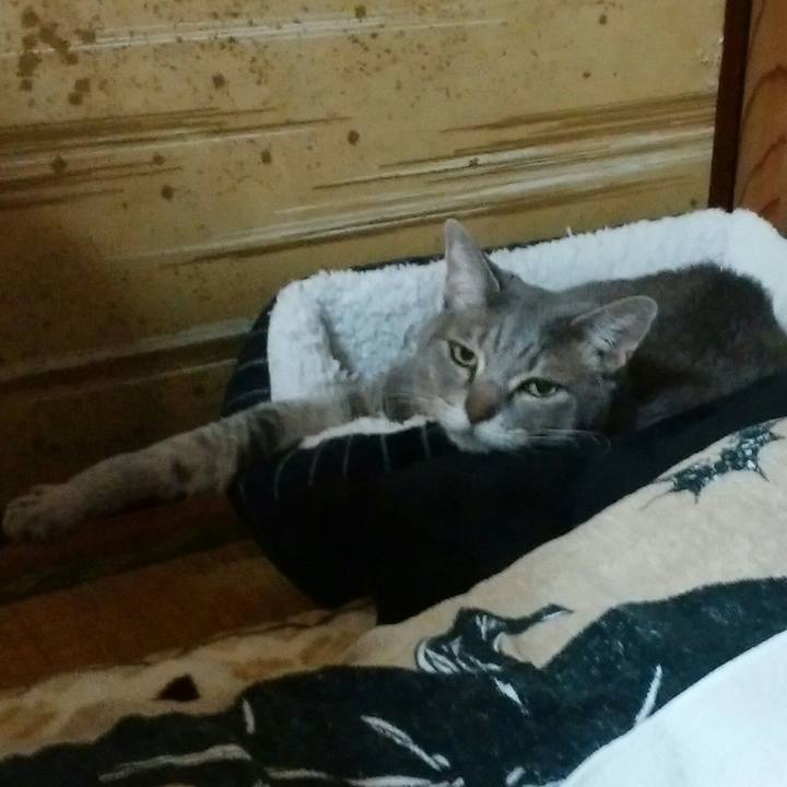 1f37f4b0 5e98 4d79 9541 2b3185809b0d 1573425719035