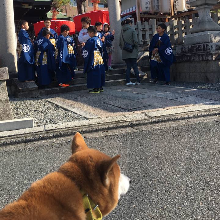 1f38efe0 d4d0 40ad b393 a31972f85a45 1523146851545