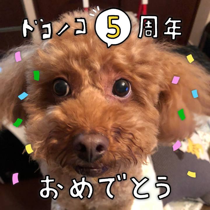 1f38ffe5 4106 4ffb bfdf a32e2d82f3c5 1622958944563