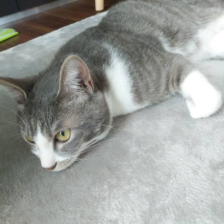 1f3906a3 5c0c 4606 9448 db09a7ad385c 1588979443752