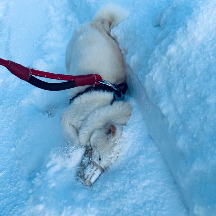 1f394be1 857d 4d26 ad79 5cdeff2d337d 1734906647028