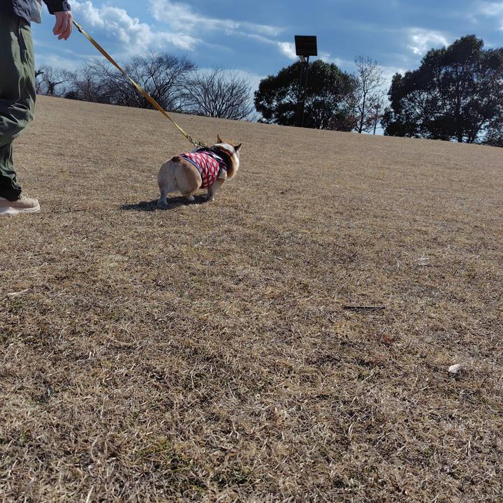 1f398975 7a1e 4828 9cc6 99d1a0f911dd 1739711636675