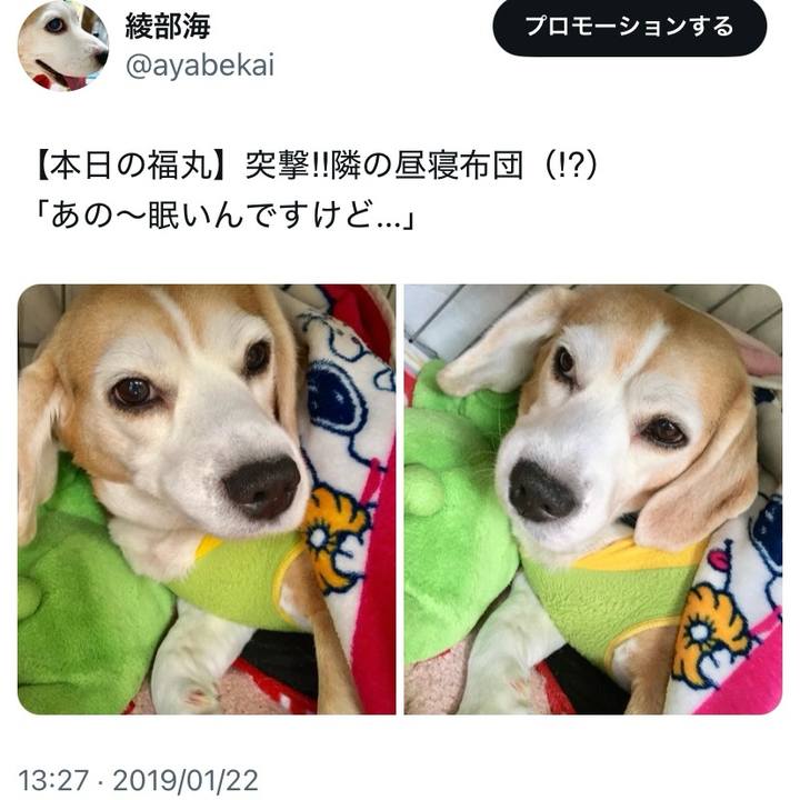 1f3996c9 0b84 4ace 9641 00b9cec9a73b 1737512684630