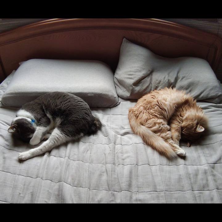 1f3999b4 f9e5 41f7 981e 41a7ffbff6ed 1682223879569