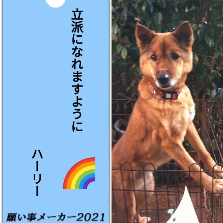 1f39b523 895a 4085 bba2 d2691af0dbb0 1625665463925