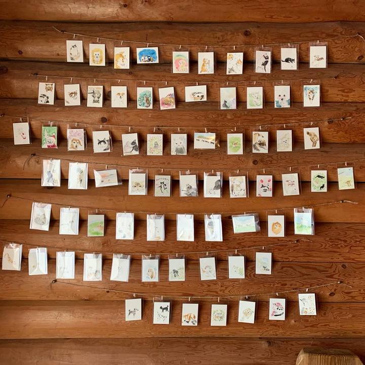 1f39cf7c f8ab 4975 b693 49c4fd239a94 1619998455857