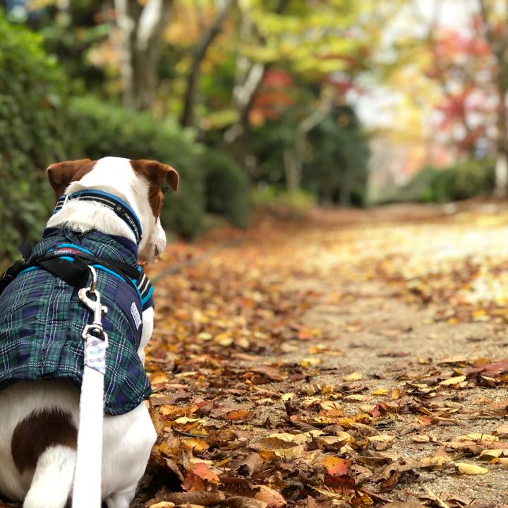 1f39e862 d55a 4218 8fae 796998940628 1637654432484