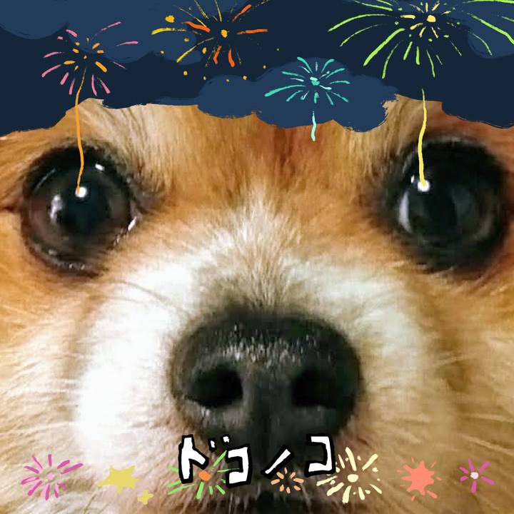 1f39fd2c 0376 442c 82c5 6fb8c24dca43 1723204723886