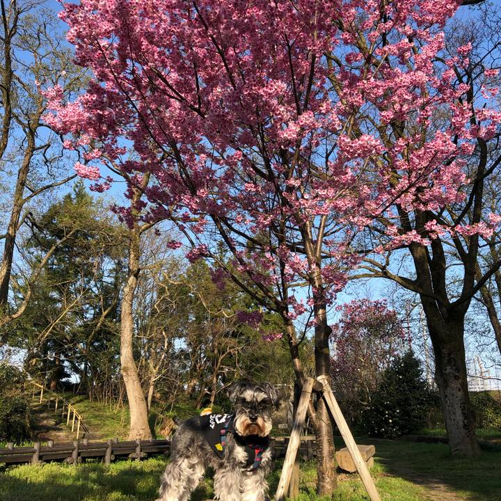 1f3a167a 1f2c 417c aeee 85fcc72cd8de 1617414694783