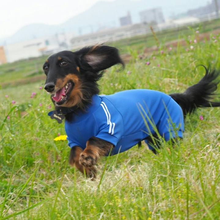 1f3a4e80 00f7 4398 a8d7 ea17f478b5f1 1555827490296