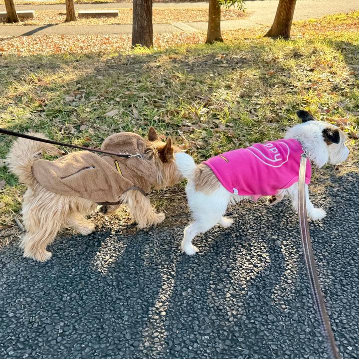 1f3adaa5 bf82 4b12 a730 1bbfa91129cd 1769373338418