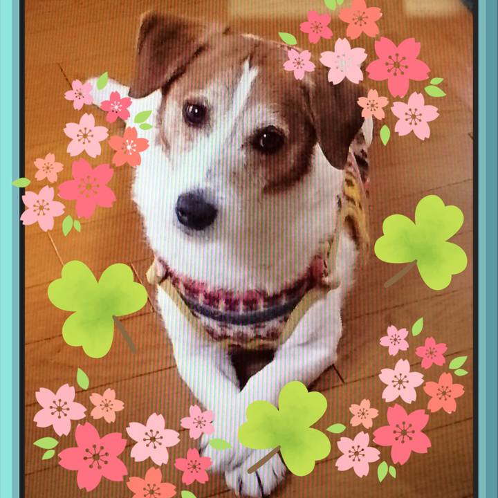 1f3adcc7 befe 4bbc 9324 8b6a1b126db7 1527030477771