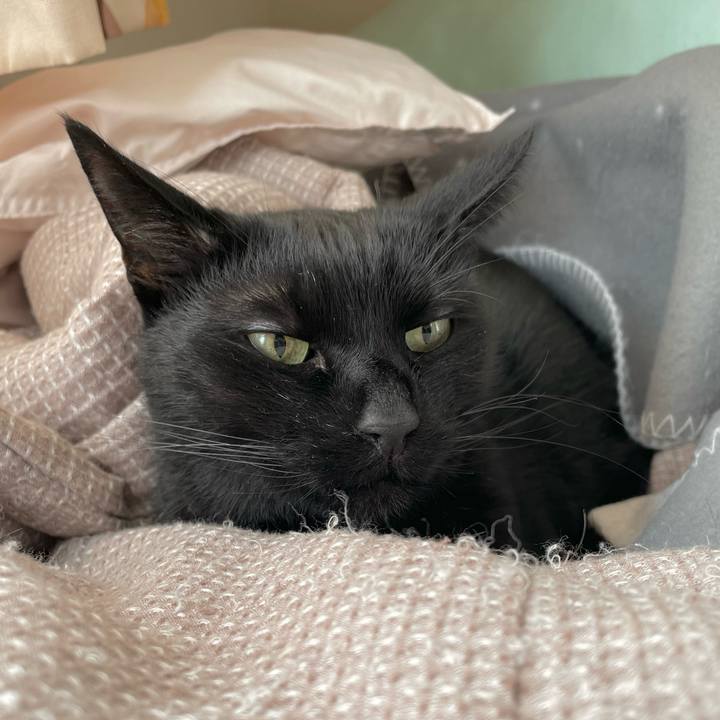 1f3ade81 3ff1 4dc6 af98 36715f16c9a3 1709436420211