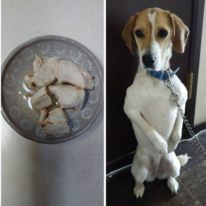 1f3ae913 2e25 4184 978b 70e37b24f199 1615188058066