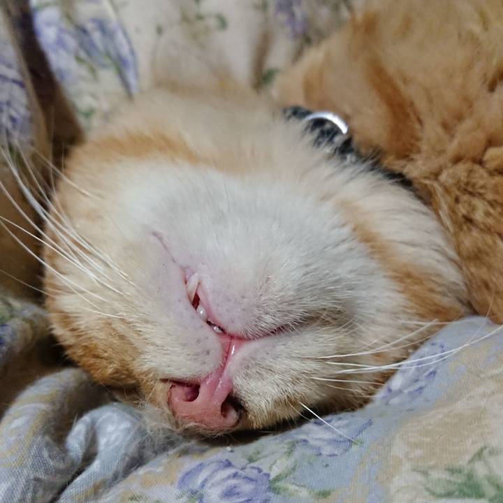 1f3aeb4e 8920 4bde b499 ff7ab214a1a0 1662985323313