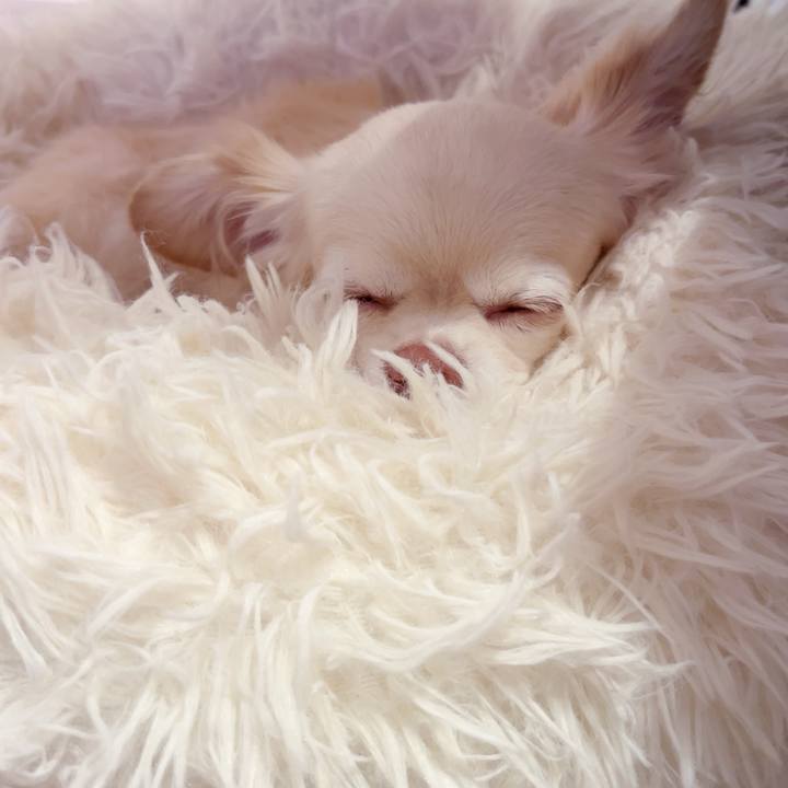 1f3af0ce 7b22 408c 8dd7 fa22c5f40cac 1754920935852