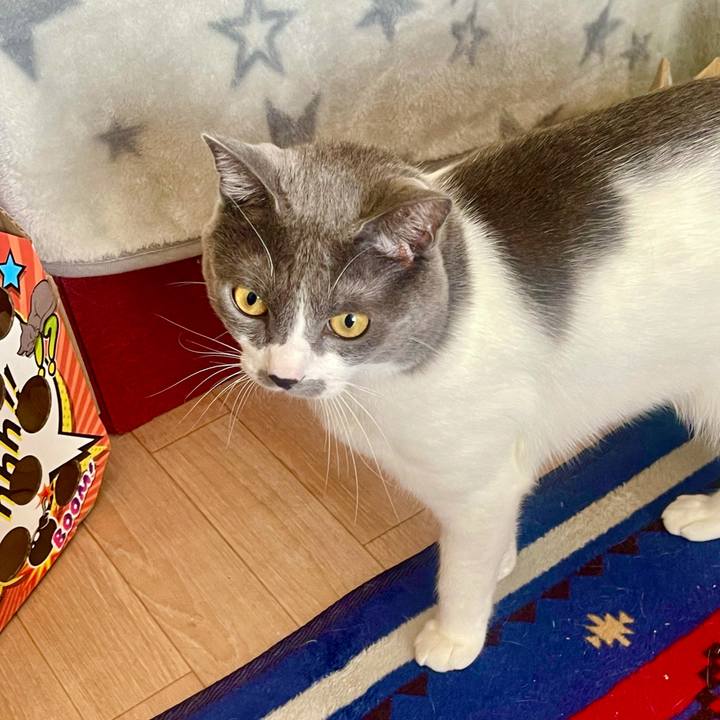 1f3b04ef 41e6 458b b48d 9f0cf6a1a4a3 1634633479196