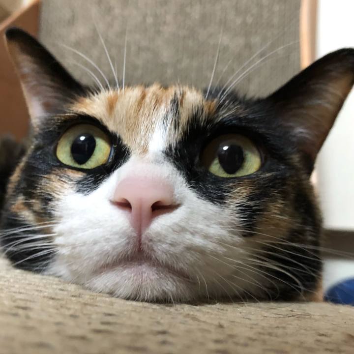 1f3b4cbb c033 40d0 a519 0ef06985a789 1593789579949