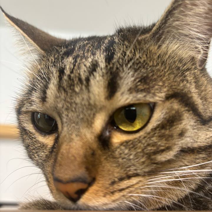 1f3b69fe 34b9 40f8 ab6b 009e2fce0e5f 1755915462760