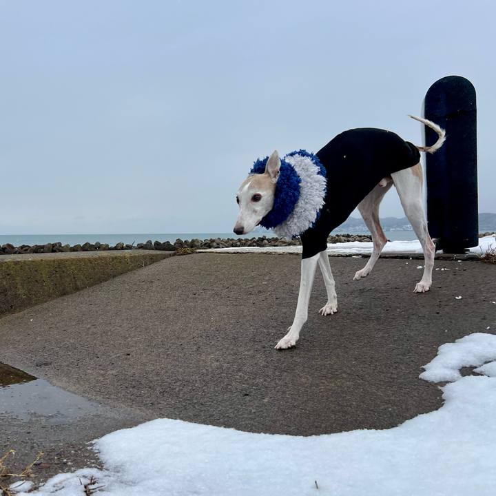 1f3bad9d 3411 4ab6 a65a a8cddf0cf2ff 1768898128566