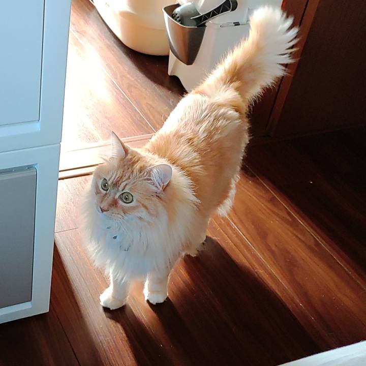 1f3bcac5 b731 4f33 b8a3 9cddbad132fc 1713315767662