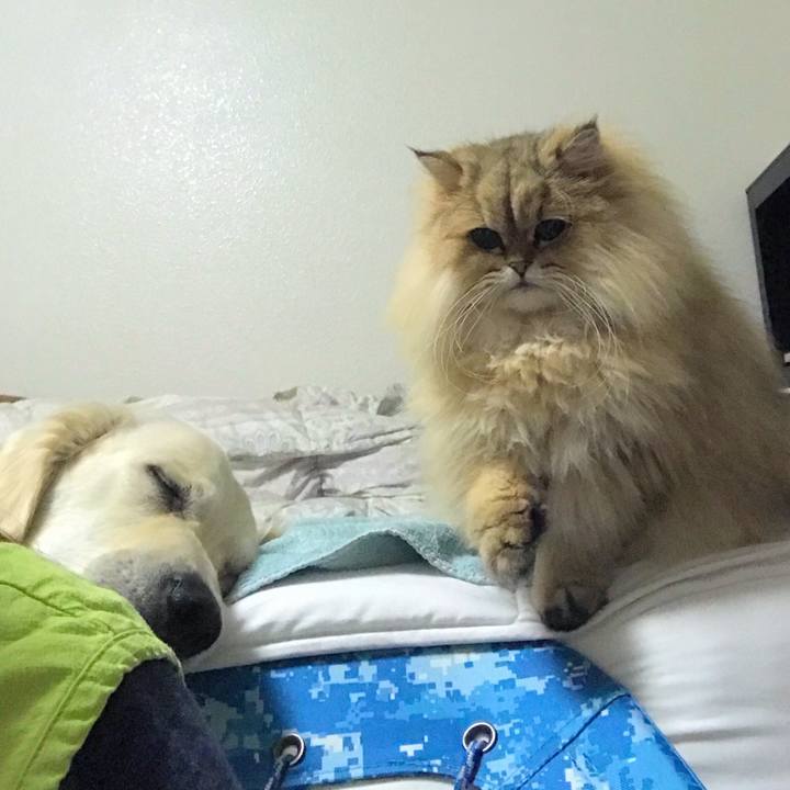 1f3bd5ee b297 43e7 92f1 7b99a12a3b50 1547850652895