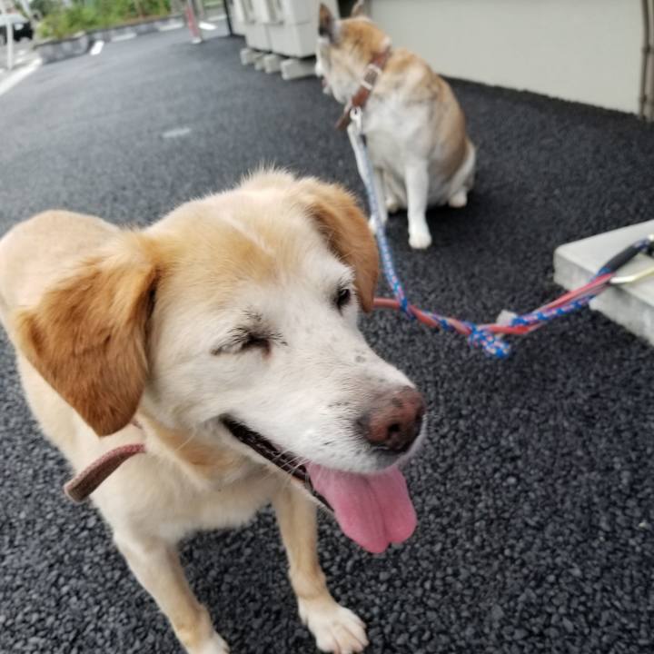 1f3c1b69 82ac 4bd0 8c19 32bf056ea2f6 1656020828828