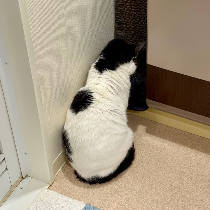 1f3c1eb6 2f12 4b66 b1d1 75b88f2fa66c 1773449573654