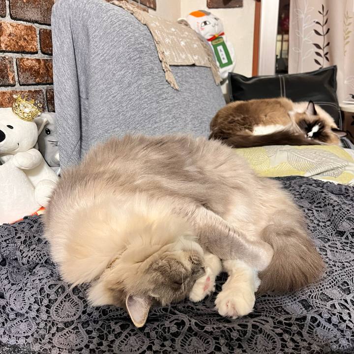 1f3c21c9 6a83 431b 9050 d1b3555a1b66 1672824428884