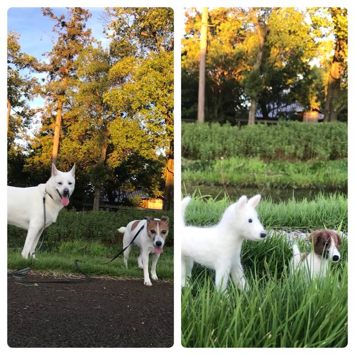 1f3c3f90 33c1 47cc 9c33 743b7a18b0d0 1532263582301