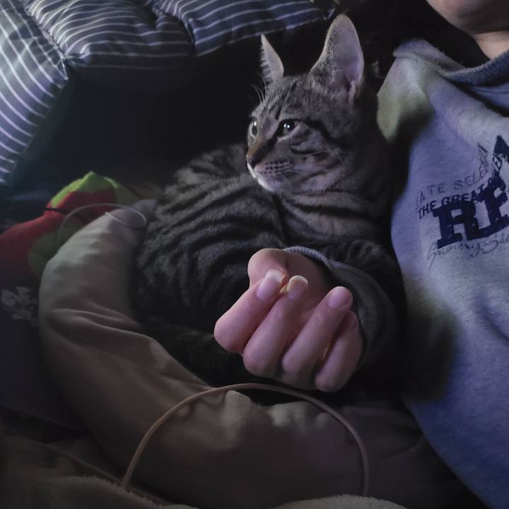 1f3c636b 62d1 4ee4 99ca 1d7de9b0c8a8 1542391816614