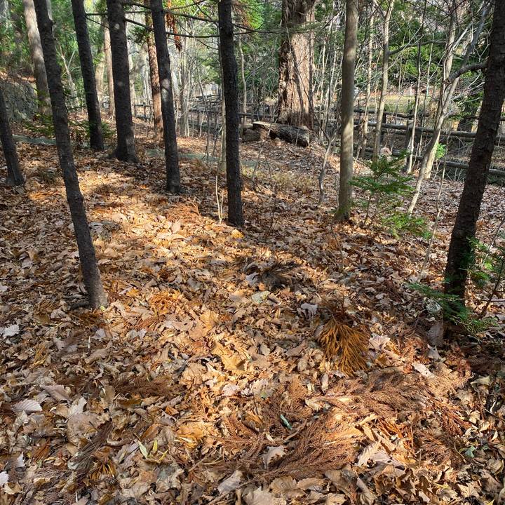 1f3c68ce c5f2 474f 8795 b71ffac2e399 1637461745267