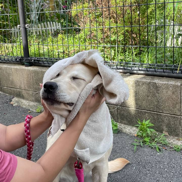 1f3cc2d2 7013 49bc a901 4cec074d958d 1624175421092