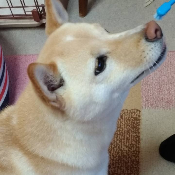 1f3d26fd 3b2e 40a0 a6c1 bff971372f78 1575415227808